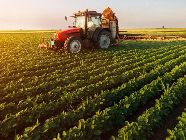 Agriculture